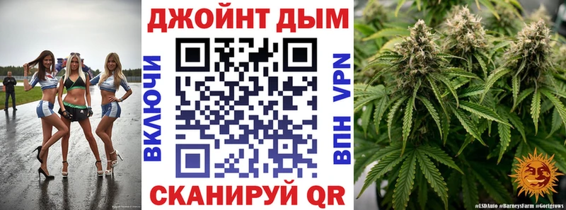 где купить наркоту  Вилючинск  Шишки марихуана планчик 